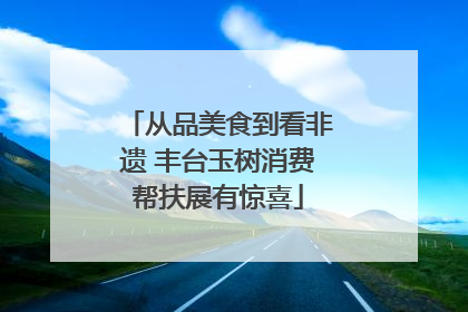 从品美食到看非遗 丰台玉树消费帮扶展有惊喜