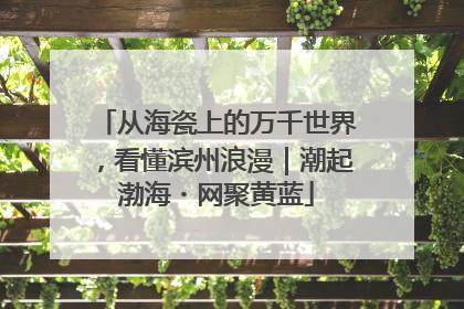 从海瓷上的万千世界，看懂滨州浪漫｜潮起渤海・网聚黄蓝