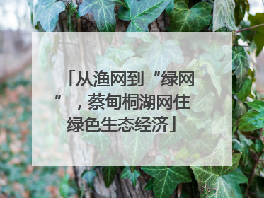 从渔网到“绿网”，蔡甸桐湖网住绿色生态经济