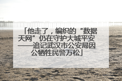 他走了，编织的“数据天网”仍在守护大城平安——追记武汉市公安局因公牺牲民警万松