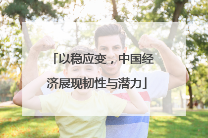 以稳应变,中国经济展现韧性与潜力
