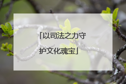 以司法之力守护文化瑰宝