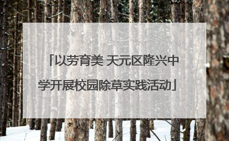 以劳育美 天元区隆兴中学开展校园除草实践活动