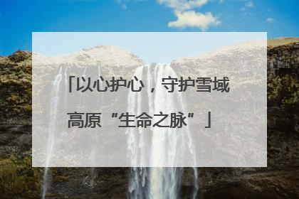 以心护心，守护雪域高原“生命之脉”
