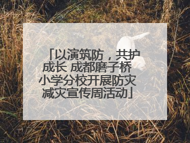 以演筑防，共护成长 成都磨子桥小学分校开展防灾减灾宣传周活动