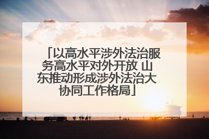 以高水平涉外法治服务高水平对外开放 山东推动形成涉外法治大协同工作格局