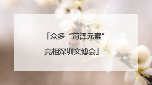 众多“菏泽元素”亮相深圳文博会
