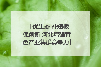 优生态 补短板 促创新 河北增强特色产业集群竞争力