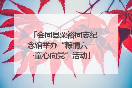 会同县粟裕同志纪念馆举办“粽情六一·童心向党”活动