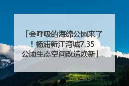 会呼吸的海绵公园来了！杨浦新江湾城7.35公顷生态空间改造焕新