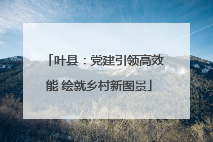 叶县：党建引领高效能 绘就乡村新图景