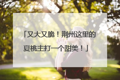 又大又脆！荆州这里的夏桃主打一个甜美！