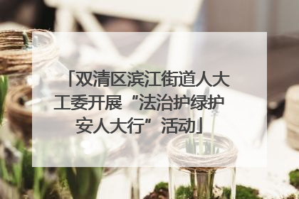 双清区滨江街道人大工委开展“法治护绿护安人大行”活动