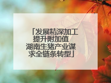 发展精深加工 提升附加值 湖南生猪产业谋求全链条转型