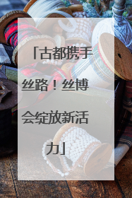 古都携手丝路！丝博会绽放新活力