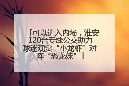 可以进入内场，淮安120台专线公交助力球迷观赏“小龙虾”对阵“恐龙妹”