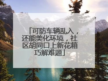 可防车辆乱入，还能美化环境，社区胡同口上新花箱巧解难题