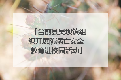 台前县吴坝镇组织开展防溺亡安全教育进校园活动