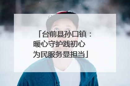 台前县孙口镇：暖心守护践初心 为民服务显担当