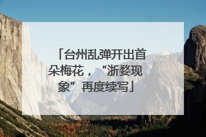 台州乱弹开出首朵梅花，“浙婺现象”再度续写