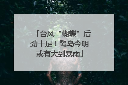 台风“蝴蝶”后劲十足！鹭岛今明或有大到暴雨