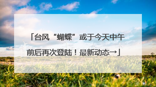 台风“蝴蝶”或于今天中午前后再次登陆！最新动态→