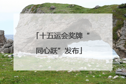 十五运会奖牌“同心跃”发布