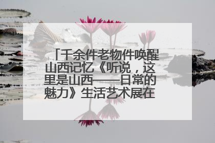 千余件老物件唤醒山西记忆《听说，这里是山西——日常的魅力》生活艺术展在忻州市图书馆开展