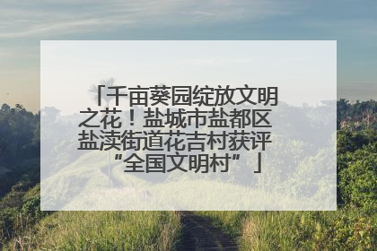 千亩葵园绽放文明之花！盐城市盐都区盐渎街道花吉村获评“全国文明村”
