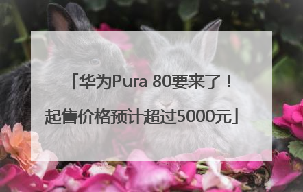 华为Pura 80要来了！起售价格预计超过5000元