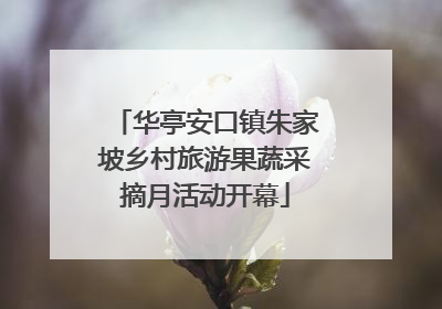 华亭安口镇朱家坡乡村旅游果蔬采摘月活动开幕