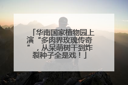 华南国家植物园上演“多肉界玫瑰传奇”，从呆萌树干到炸裂种子全是戏！