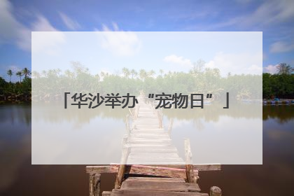 华沙举办“宠物日”