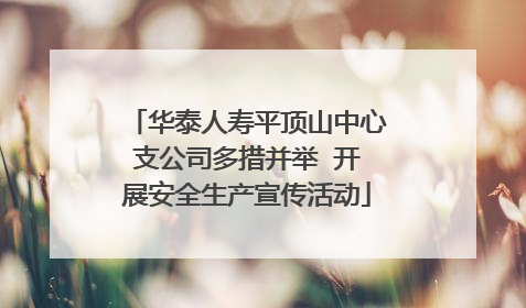 华泰人寿平顶山中心支公司多措并举  开展安全生产宣传活动