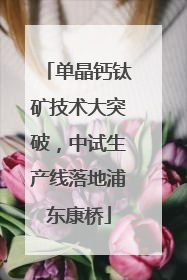 单晶钙钛矿技术大突破，中试生产线落地浦东康桥