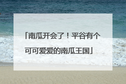 南瓜开会了！平谷有个可可爱爱的南瓜王国