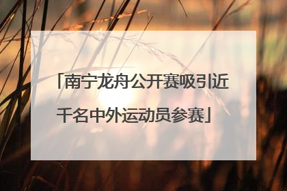 南宁龙舟公开赛吸引近千名中外运动员参赛