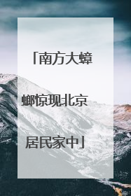 南方大蟑螂惊现北京居民家中