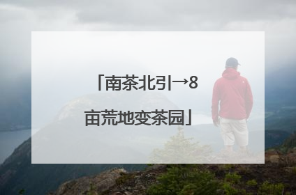 南茶北引→8亩荒地变茶园
