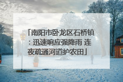 南阳市卧龙区石桥镇：迅速响应强降雨 连夜疏通河道护农田