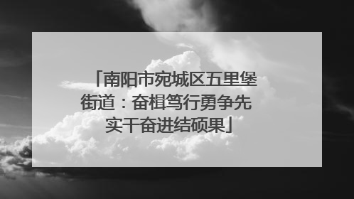 南阳市宛城区五里堡街道：奋楫笃行勇争先 实干奋进结硕果