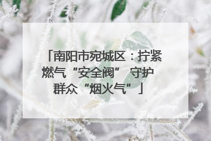 南阳市宛城区：拧紧燃气“安全阀” 守护群众“烟火气”