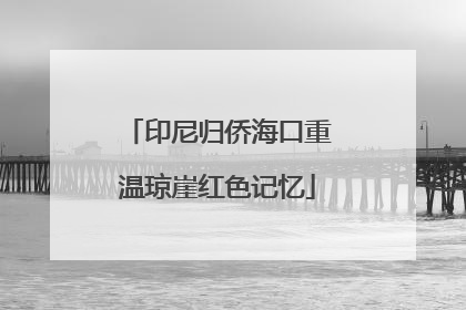印尼归侨海口重温琼崖红色记忆