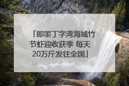 即墨丁字湾海域竹节虾迎收获季 每天20万斤发往全国