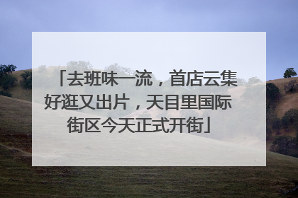 去班味一流，首店云集好逛又出片，天目里国际街区今天正式开街