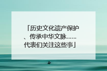 历史文化遗产保护、传承中华文脉……代表们关注这些事
