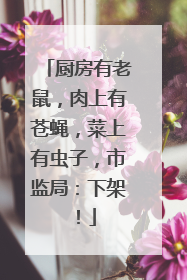 厨房有老鼠，肉上有苍蝇，菜上有虫子，市监局：下架！
