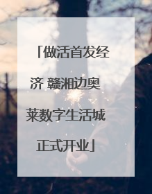 做活首发经济 赣湘边奥莱数字生活城正式开业