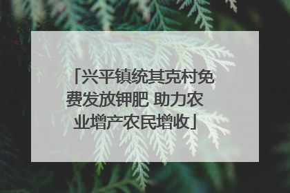 兴平镇统其克村免费发放钾肥 助力农业增产农民增收