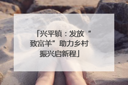兴平镇：发放“致富羊”助力乡村振兴启新程